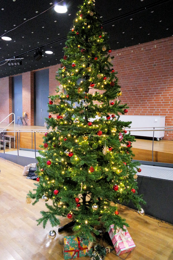 Weihnachtsbaum in der Aula