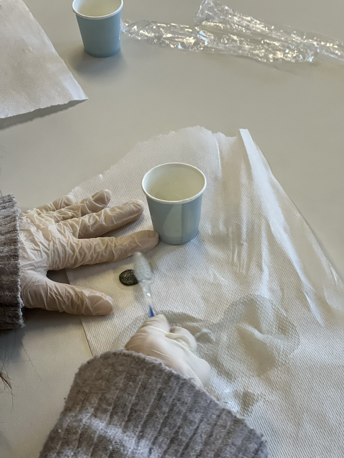 Münz-Restaurierung-1