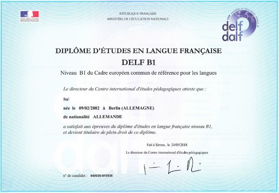 Delf Diplom