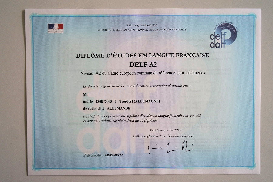 Delf Prüfung