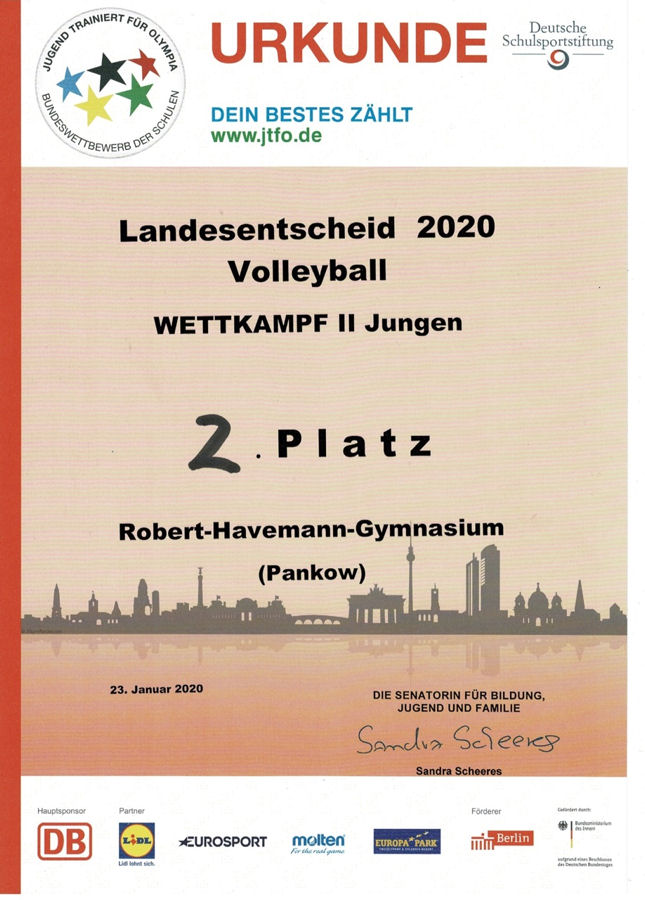 Volleyball 2. Platz